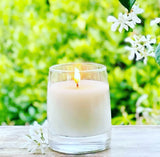 Citronella Candles Three Scents