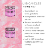Hollywood Luxury Candle Home Decor Scent Designer Inspired By Coach Poppy Perfume - LNB Luxury Candles Home Decor