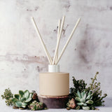 Natural Color Matte Diffuser