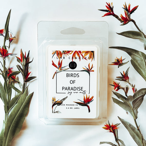 Birds of Paradise Wax Melt 3 PACK