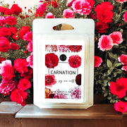 Carnation Scent Wax Melts 3 PACK