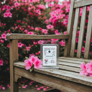 Georgia Azalea Wax Melts 3 PACK
