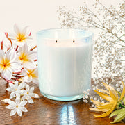 Jersey Shore Candle Scent of Plumeria Jasmine Ylang Ylang