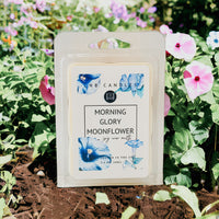 Morning Glory Moonflower Scent Wax Melt 3 PACK