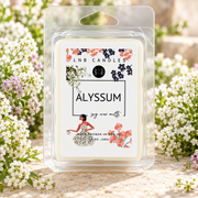Alyssum Scent Wax Melts 3 PACK