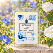 Morning Glory Moonflower Scent Wax Melt 3 PACK
