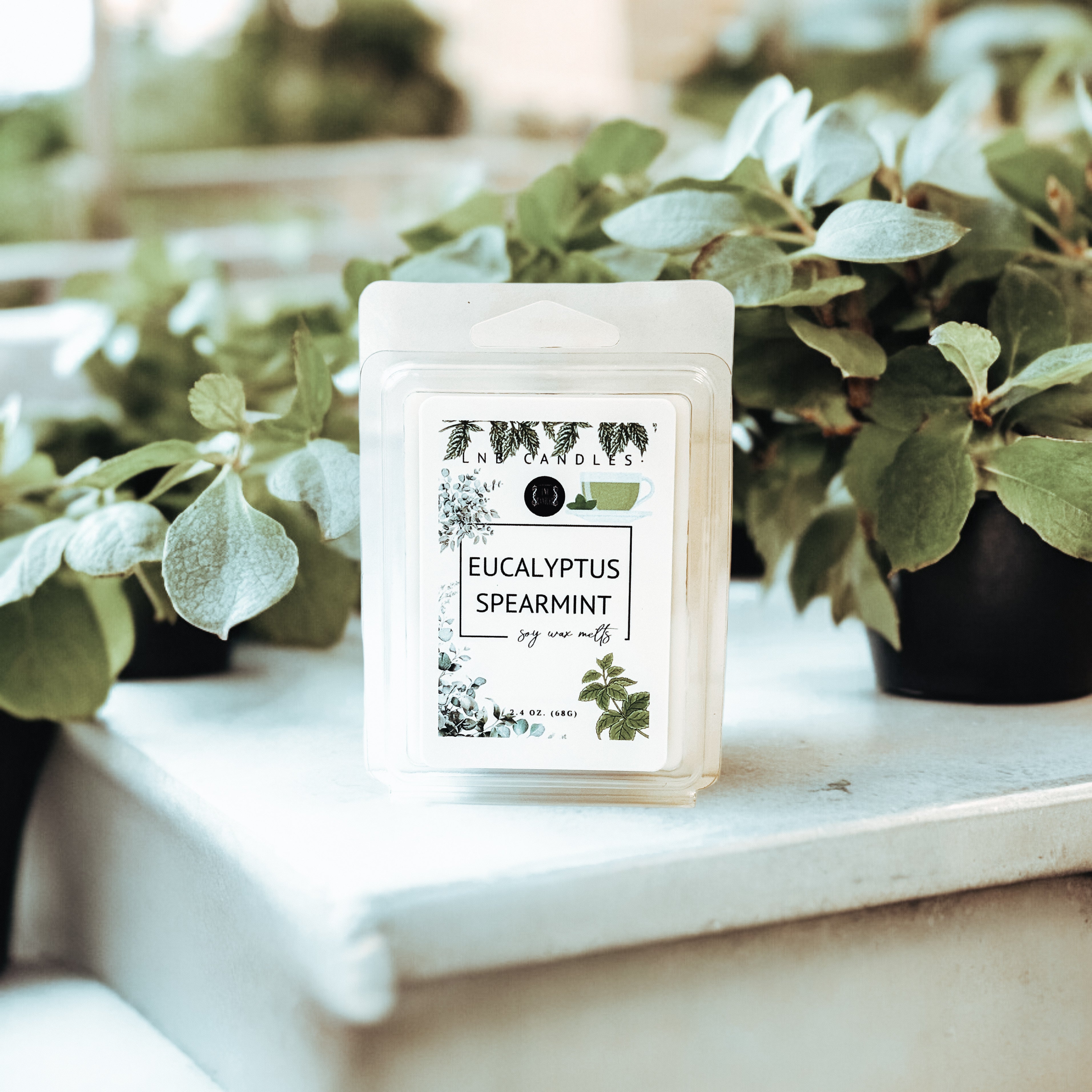 Eucalyptus Spearmint Scent Wax Melt 3 Pack