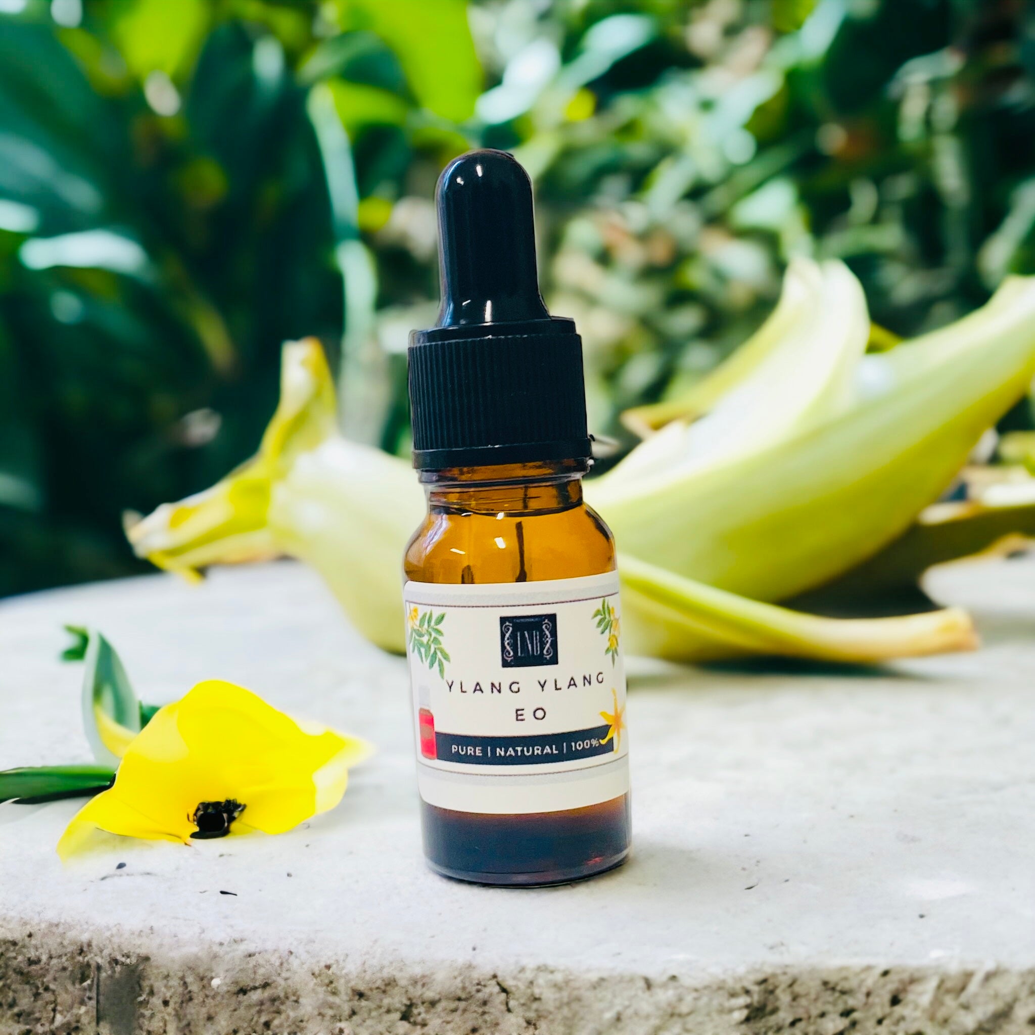 Ylang Ylang Essential Oil