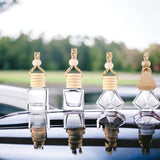 Car Freshener Natural  Summer Styles Choose Your Scent