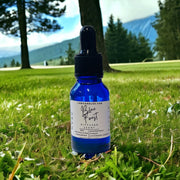 Blue Forest Diffuser Scent Plug In HVAC