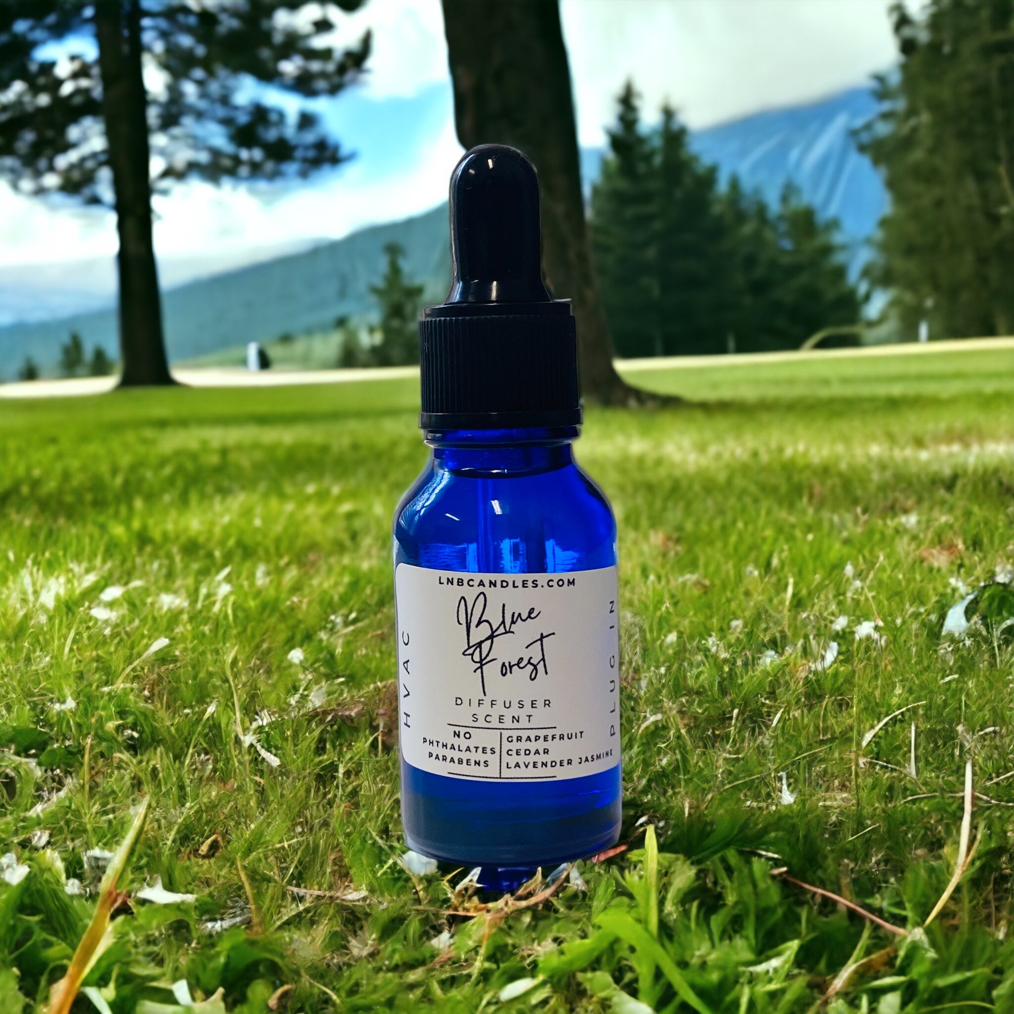 Blue Forest Diffuser Scent Plug In HVAC