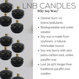 Opiy Candle Scent Inspired by YSL Opium Perfume For Women - LNB Luxury Candles Home Decor